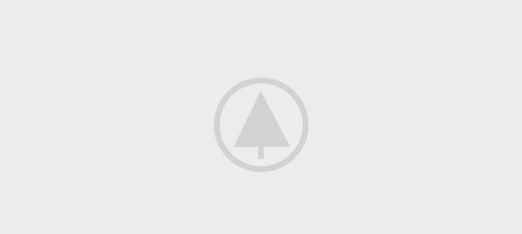 wood gallery placeholder 4 1024x460 - Non vestibulum lacus sociosqu