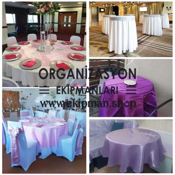 Deve Kuşu Tüyü Duvar Dekor