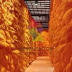 Deve Kuşu Tüyü Duvar Dekor